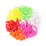 Bird Clip Rings - 100 Pcs Plastic Foot Rings for Small Birds, Multiple Sizes and Colors