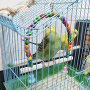 Handmade Bird Cage Toys – Colorful Parrot Accessories for Play &amp; Training