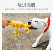 Durable Cotton Cord and Rubber Chew Toys for Dogs - Interactive Balls and Ropes