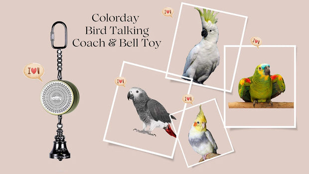 Voice Recordable Bird Toy with Metal Bell – Interactive Training & Play for Parrots, Cockatiels, and More