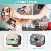 Dyson Pet Grooming Kit – Compatible with V7, V8, V10, V11, V12, V15 – Vacuum Brush Attachments for Dog & Cat Grooming with Extendable Hose