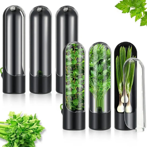 Herb Saver Storage Container – Fresh Herb Keeper for Cilantro, Vanilla & Vegetables | Refrigerator Preservation Bottle for Kitchen