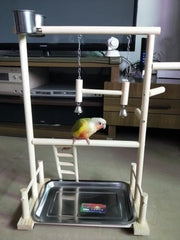 Parrot Playstand with Cup, Swing, and Climbing Ladder – Wooden Bird Playground for Cockatiels, Budgies, and Parrots