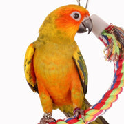 Cotton Bird Toy Rope - 50cm Length (Color as Picture)