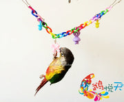 Colorful Acrylic Bird Swing Toy – Chewing &amp; Training Play for Parrots and Cockatiels