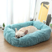 Comfortable Plush Dog Bed - Breathable, Soft & Portable Pet Sofa (XS/S/M/L)