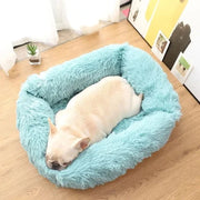 Comfortable Plush Dog Bed - Breathable, Soft & Portable Pet Sofa (XS/S/M/L)