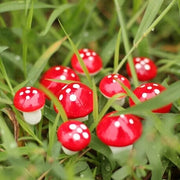 Miniature Mushroom Decor – 10/50/100pcs Fairy Garden Resin Crafts, Moss Terrarium Artificial Plant Stakes