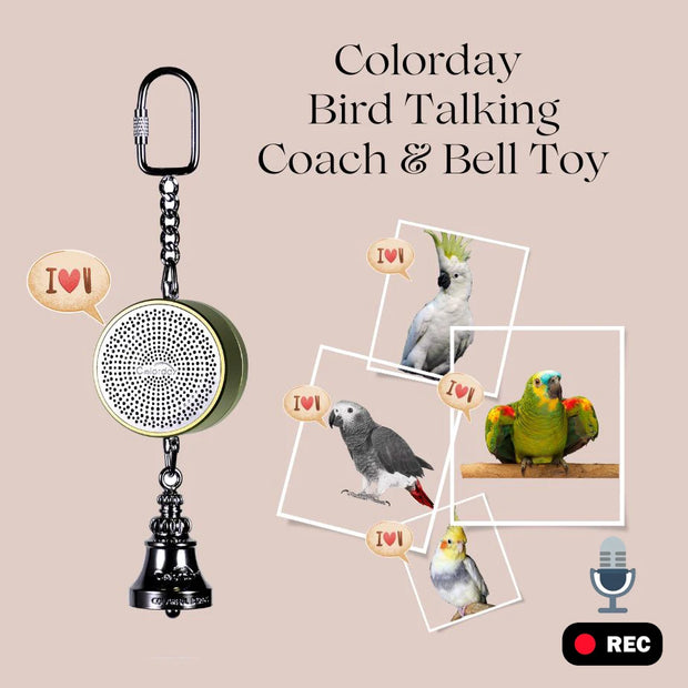 Voice Recordable Bird Toy with Metal Bell – Interactive Training & Play for Parrots, Cockatiels, and More