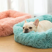 Comfortable Plush Dog Bed - Breathable, Soft & Portable Pet Sofa (XS/S/M/L)