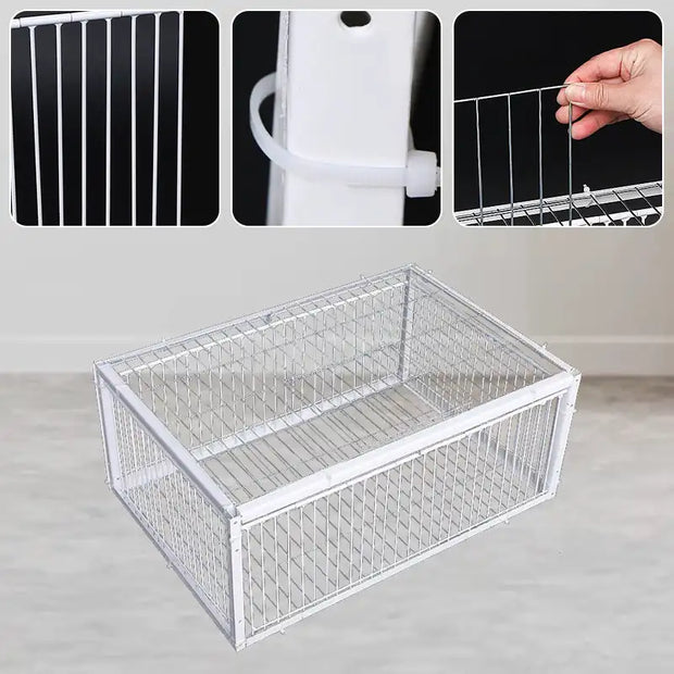 AutoTrap Bird Cage - Humane One-Way Entry Trap for Bird Control, Durable Iron Construction