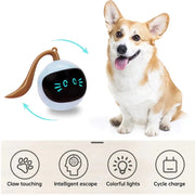 Electric USB Rechargeable Interactive Dog Ball Toy – 360° Rotating LED Ball for Small & Large Dogs