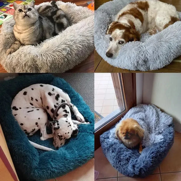 Comfortable Plush Dog Bed - Breathable, Soft & Portable Pet Sofa (XS/S/M/L)