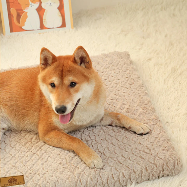 Removable Cover Corduroy Dog Bed - Comfortable and Washable Bed for All Dog Sizes