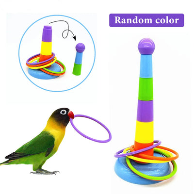 Product Title: Colorful Parrot Hoop Toys – Interactive Bird Training Set for Mental Stimulation