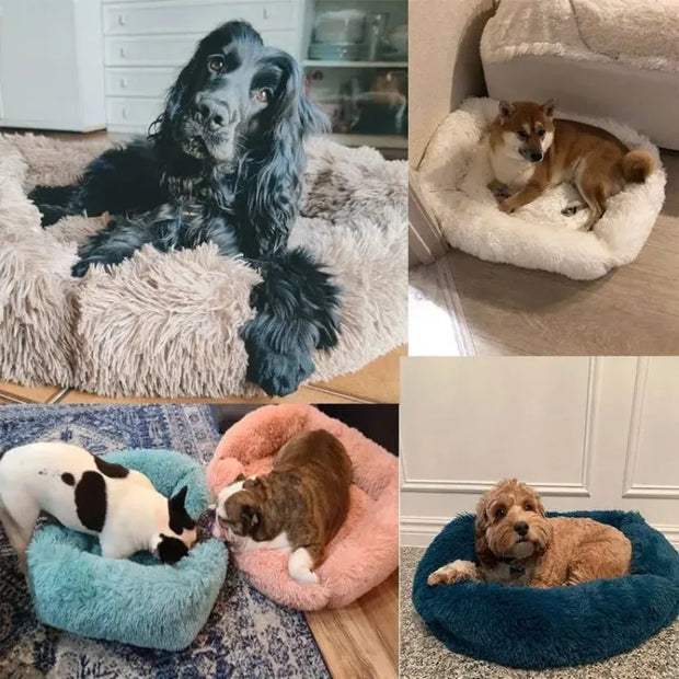 Comfortable Plush Dog Bed - Breathable, Soft & Portable Pet Sofa (XS/S/M/L)