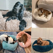 Comfortable Plush Dog Bed - Breathable, Soft & Portable Pet Sofa (XS/S/M/L)