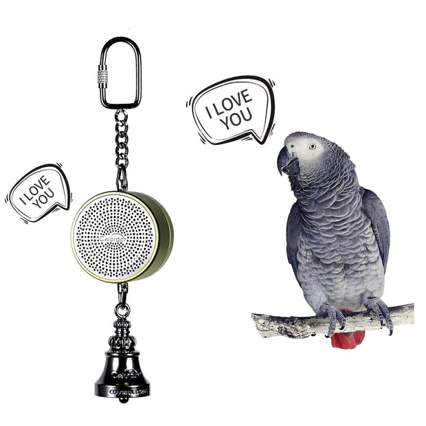 Voice Recordable Bird Toy with Metal Bell – Interactive Training & Play for Parrots, Cockatiels, and More