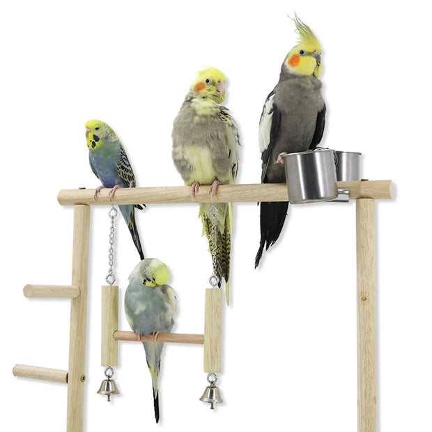 Parrot Playstand – Wooden Bird Playground with Feeder Cups, Climbing Toy for Parakeets, Cockatiels, and Lovebirds