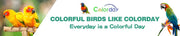 Colorday Bird Cage Cover for Play Top Cages – Breathable, High Shading Rate Cover