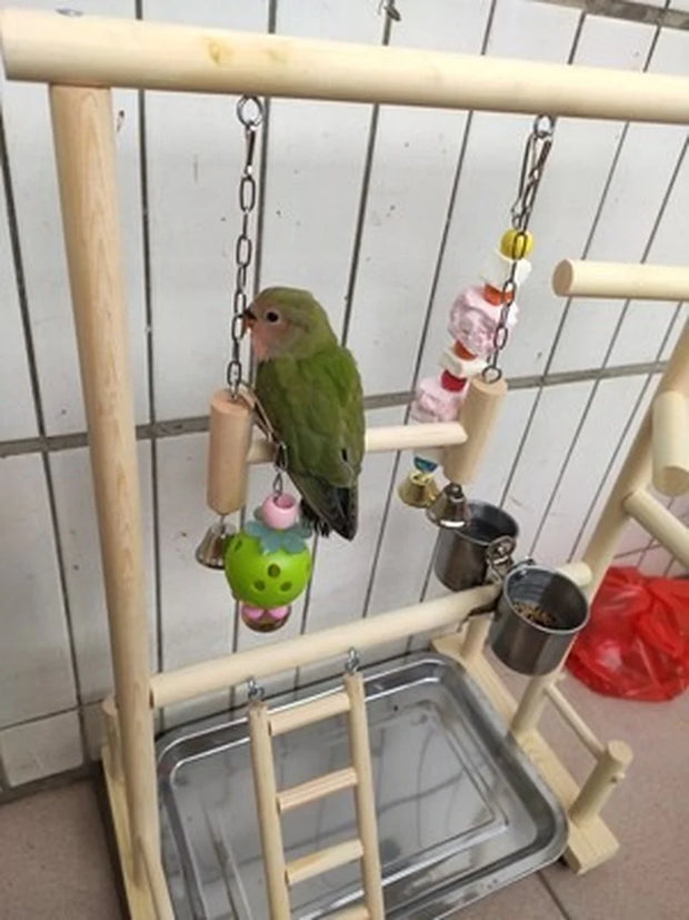 Parrot Playstand with Cup, Swing, and Climbing Ladder – Wooden Bird Playground for Cockatiels, Budgies, and Parrots